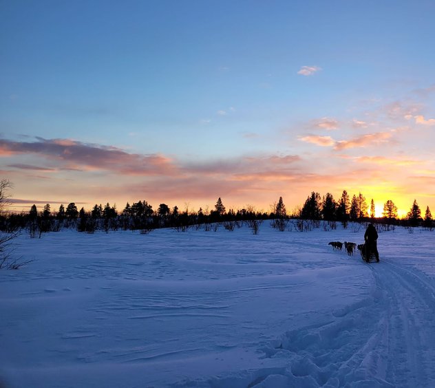 Husky Dreams kvällstur