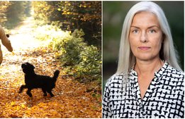 Ny mångmiljonsatsning på forskning om besöksnäringen