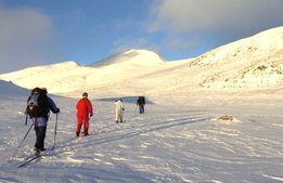 Oklart kring sänkt moms på naturguider