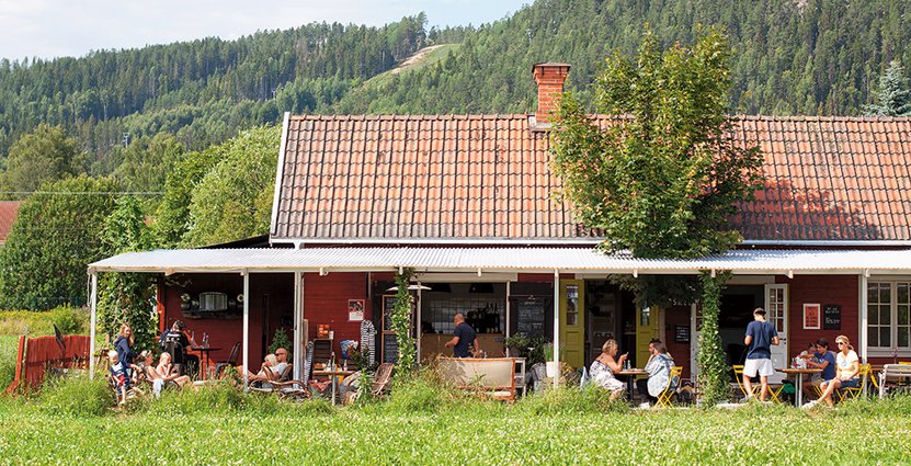 Jordbruksverket ska prioritera projekt som ger en hållbar och<br />
 långvarig effekt och resultat som kan spridas i branschen. Foto: Annika Goldhammer