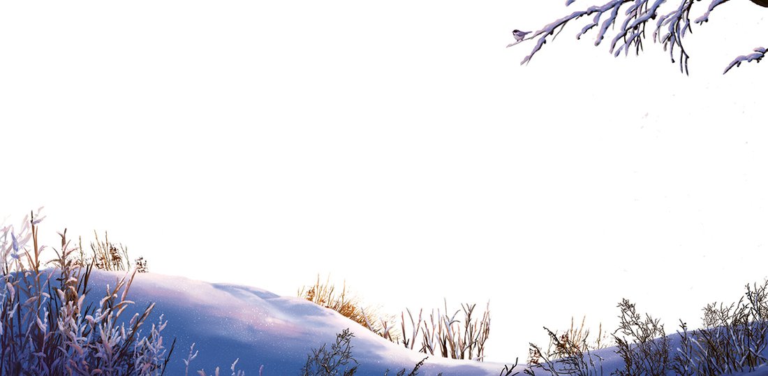 Läs hästboken 500 000 spelande barn längtar efter