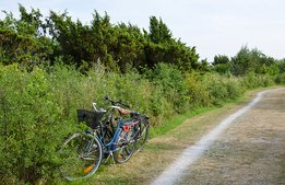 EU-pengar finns att söka för jobbskapande naturturism