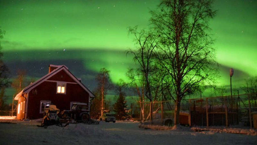 Husky Dreams kvällstur