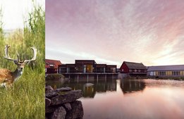 Eriksberg Hotell och Safaripark blir en del av Countryside Hotels