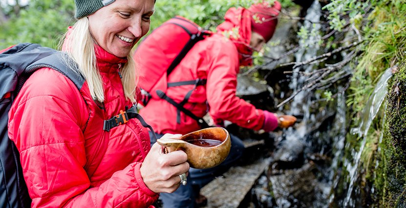 Besöksnäringen för destination Swedish Lapland slår rekord. 