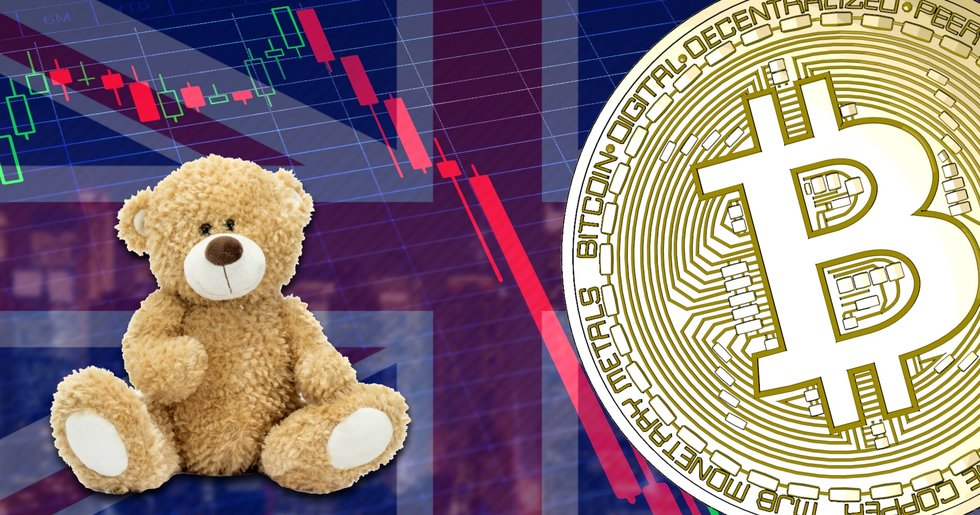Most of the Britons believes in further bitcoin bear market. Image source: Shutterstock/Trijo News
