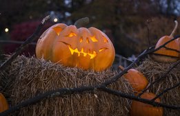 30 000 osålda pumpor sedan Liseberg ställde in