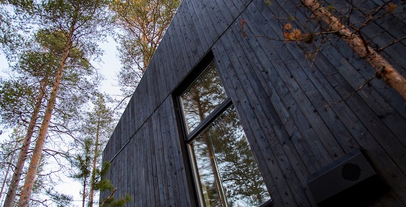 Det blir Treehotels största rum hittills. 