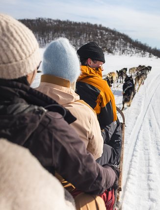 en grupp p&aring; hundpsannstur p&aring; ett soligt Tornetr&auml;sk