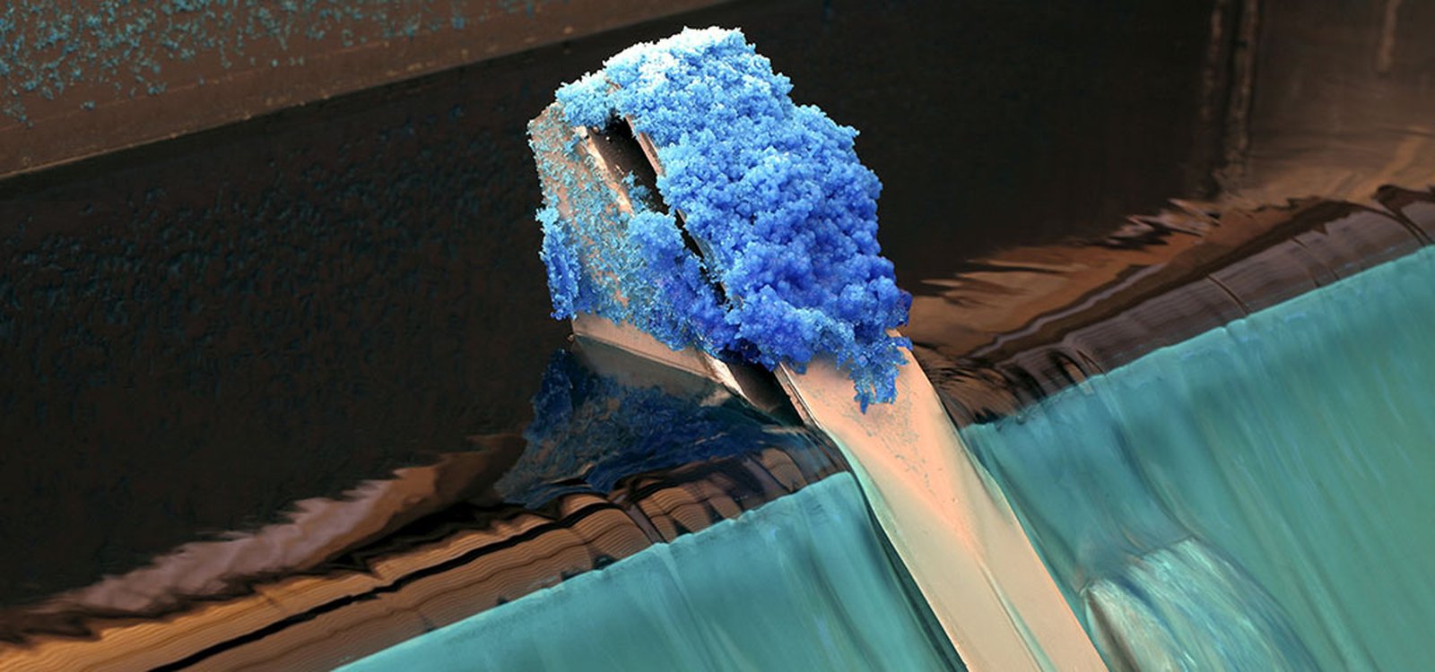<p>Extremophiles are microorganisms that help extract copper from sulphide ore. </p>
