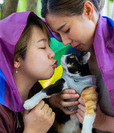 Boktips! — 9 romantiska HBTQI-romaner