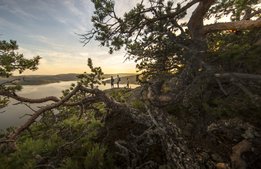 Miljonstöd till företag i Höga Kusten