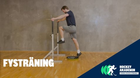 Fysövning: Tåhävning