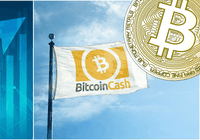 Daily crypto: Bitcoin cash rallies and bitcoin is over $4,000 again