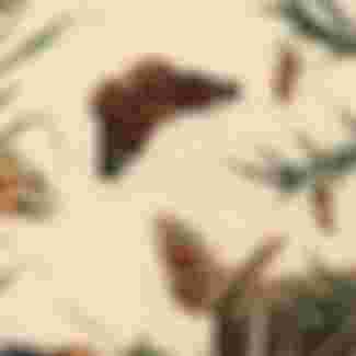 The Aurelian; a Natural History of English Moths and Butterflies, published by Henry Bohn, London, 1840.