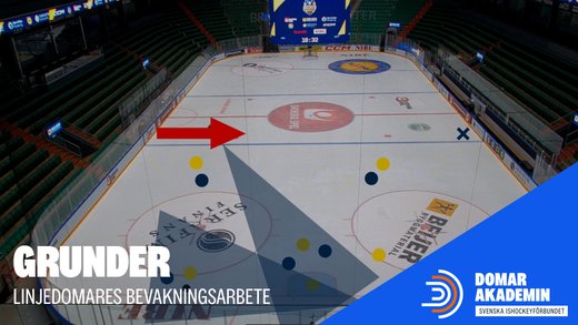 YouTube: Grunderna i LD:s bevakningsarbete