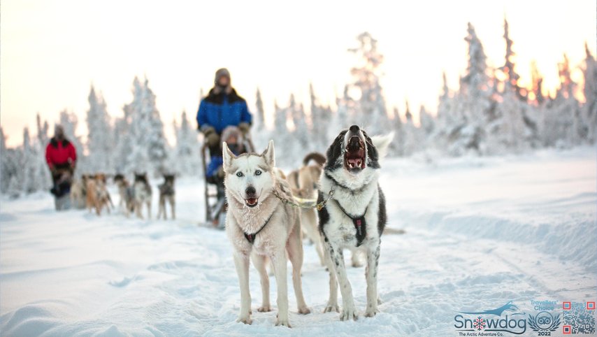 Snowdog polar sunrice eco experience