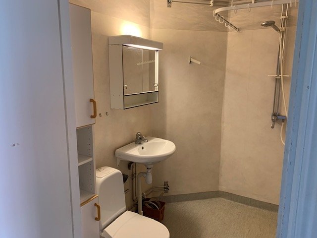 Bathroom with wc, sink and shower.