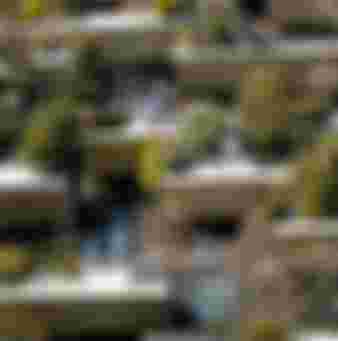 Ecological skyscraper in Milan.