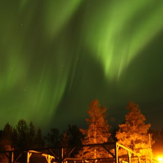Northern lights at Laxforsen