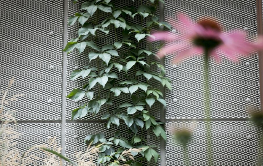 Hebas fastighet Sonfjället Norra Djurgårdsstaden