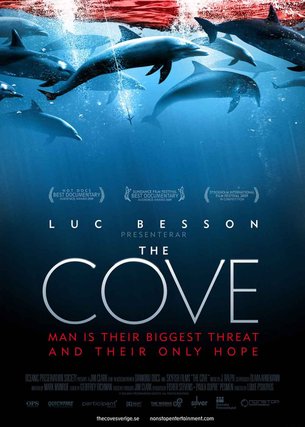 The Cove