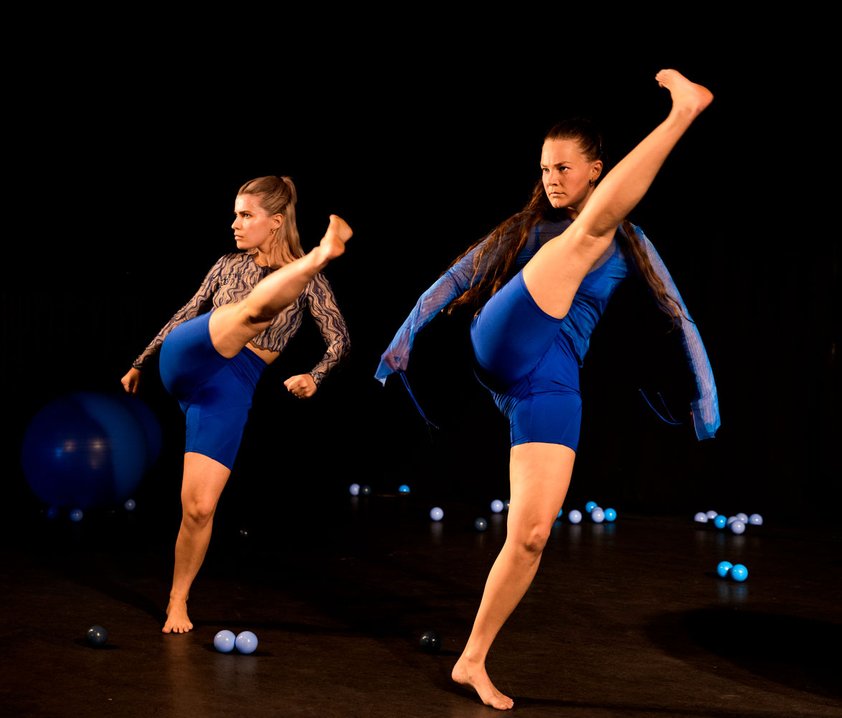 Yellow Jacket Collective