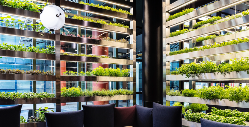 Good Bank i Berlin kallar sig världens första ”vertical- farm-to-table-restaurant”.<br />
 FOTO. Annika Goldhammer