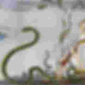 'Young America rescues Europe!', declares a French cartoon from 1918. Credit: Pictorial Press Ltd / Alamy Stock Photo.