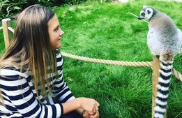 Nattklubb, elaka spöken, nya djur – så satsar Parken Zoo