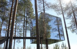 Kändistäta Treehotels ägare checkar ut