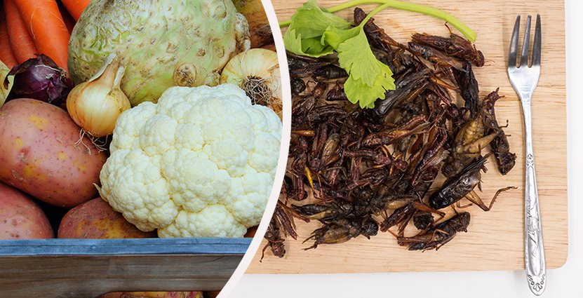 Mer vegetariskt och på sikt insekter är vad som hamnar på tallriken,<br />
 enligt Food & Friends trendrapport.  Foto: Colourbox
