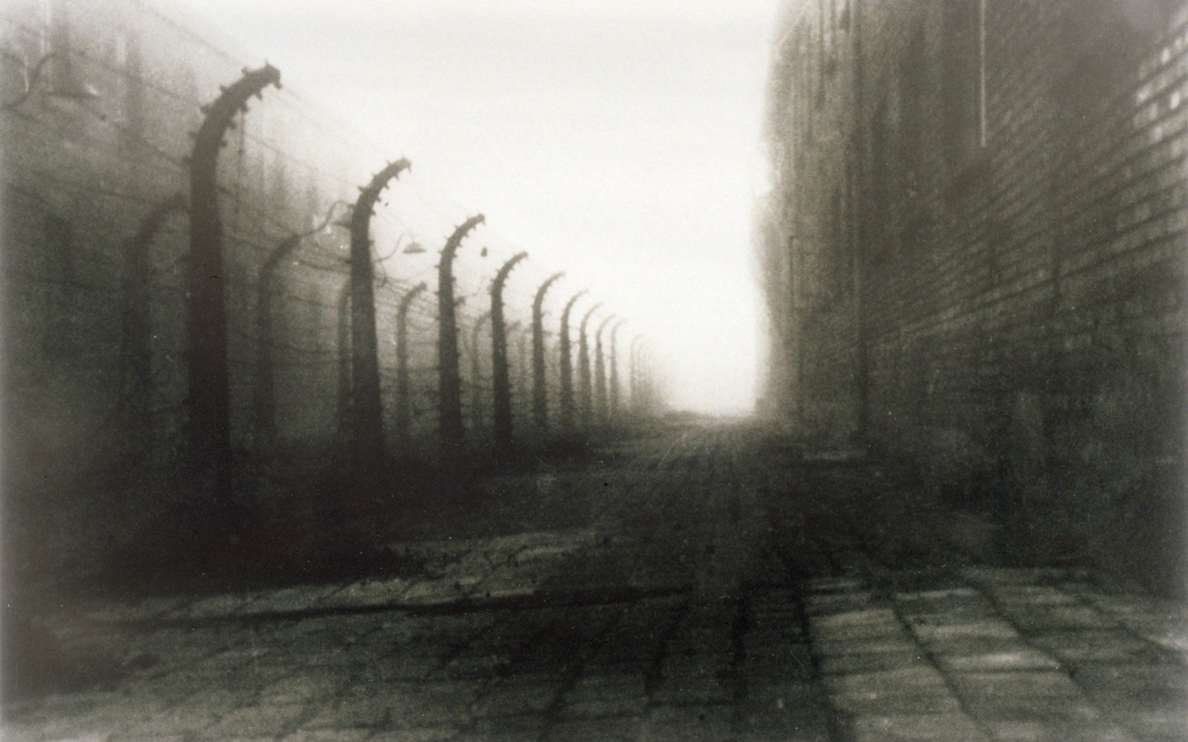 A view of the wire perimeter fence at Auschwitz. Credit: Chronicle