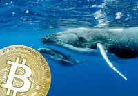 Valar ökar sin köpkraft – kan få bitcoinpriset att rusa