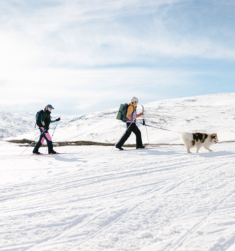 tv&aring; v&auml;nner med hund turar &ouml;ver kalfj&auml;llet en solig vinterdag
