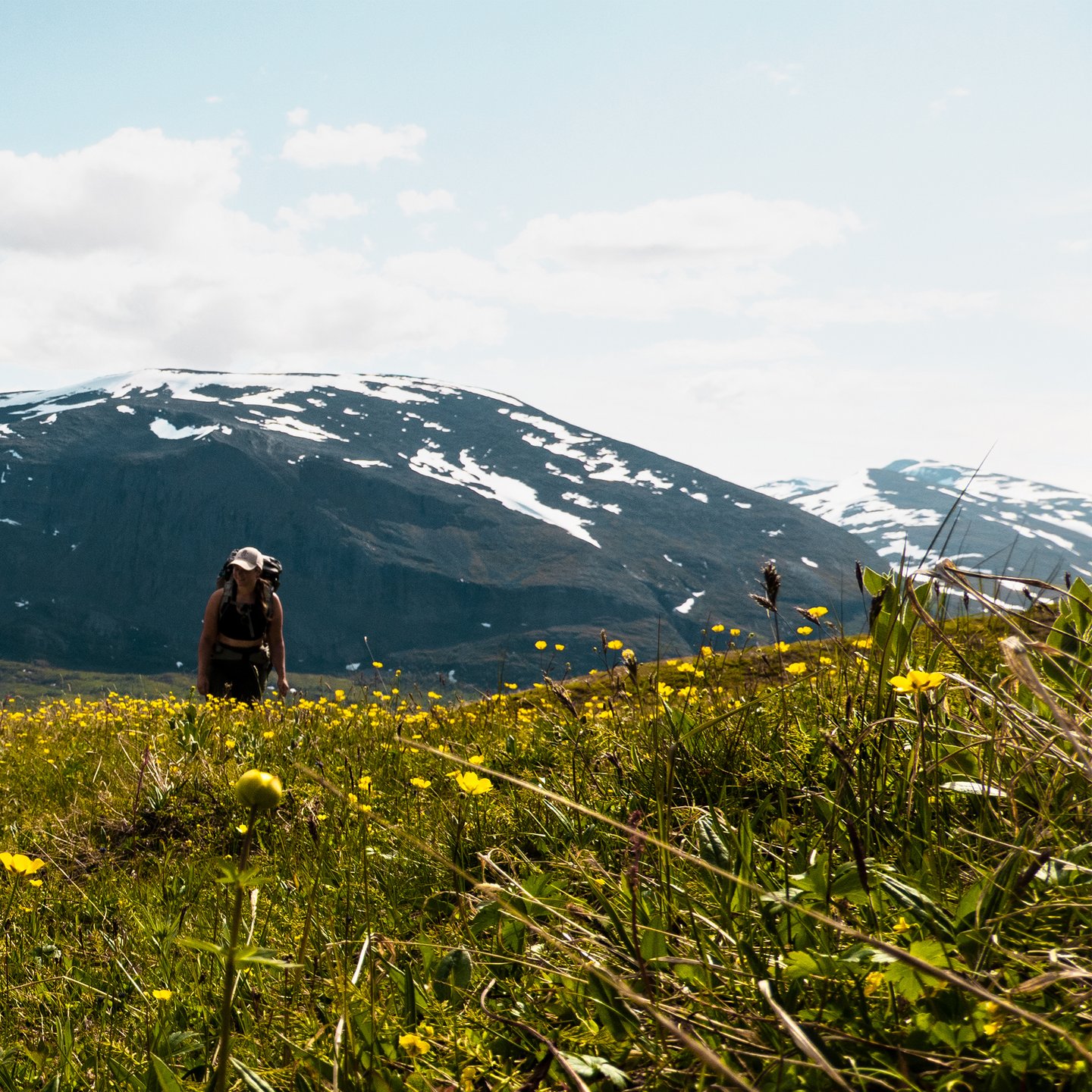 kvinna vandrar bland sm&ouml;rblommor och sn&ouml;t&auml;ckta fj&auml;lltoppar