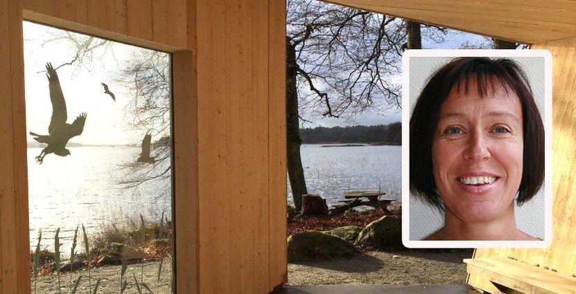 En av rastplatserna i Åsnens nationalpark har utsikt över sjön Åsnen och dess fågelliv. Foto: Sten-Åke Carlsson