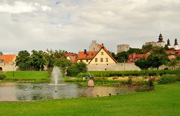 Gotlands besöksnärings avgående vd: ”För många kockar”