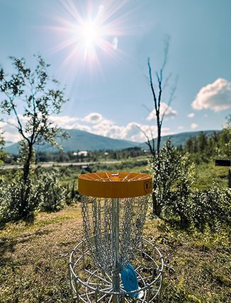 discgolf i ett soligt Bj&ouml;rkliden