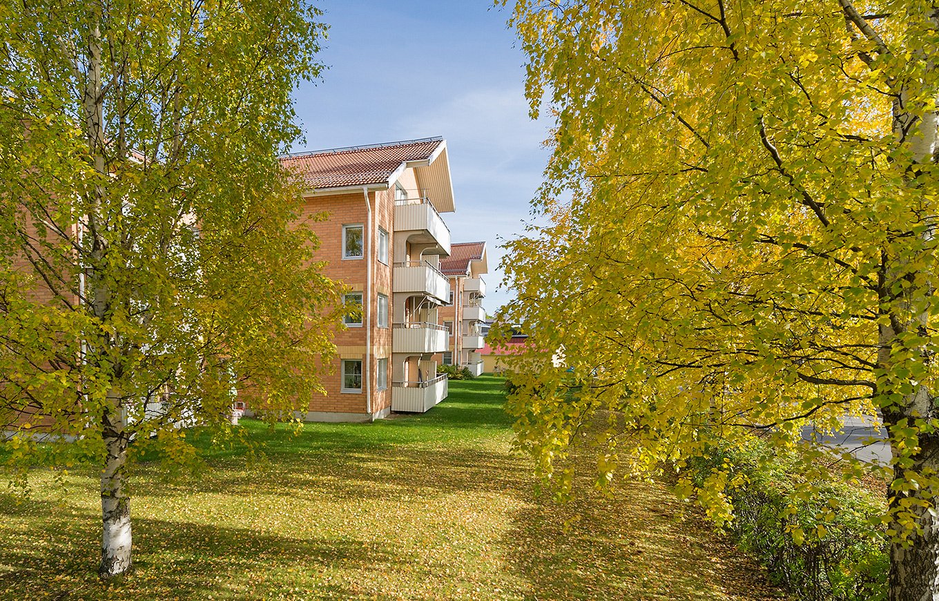 Kv Glasmästaren 4, bild 1 av 3