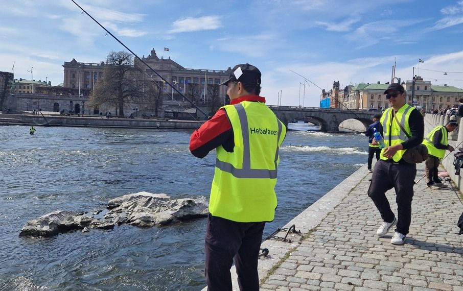Hebalaxen är fisketävlingen mitt i stan