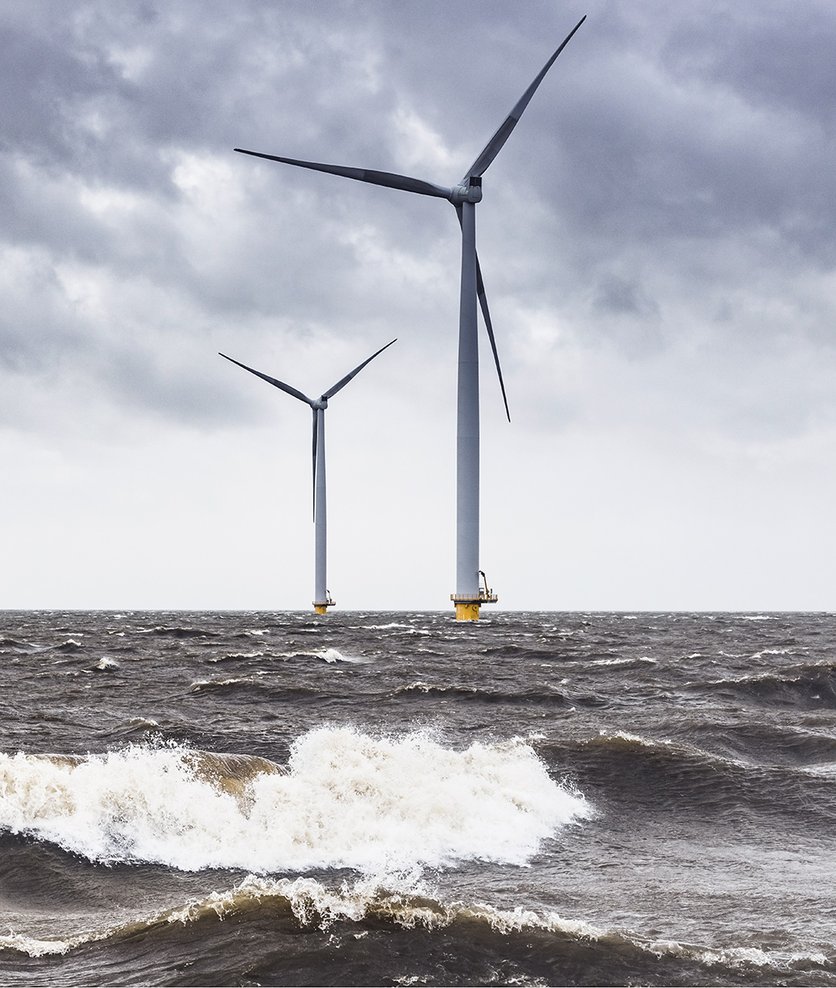 Wind power is hitting rough seas - what are the solutions? Flower