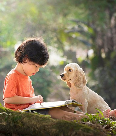 Voff! 14 gulliga barnböcker för alla hundälskare
