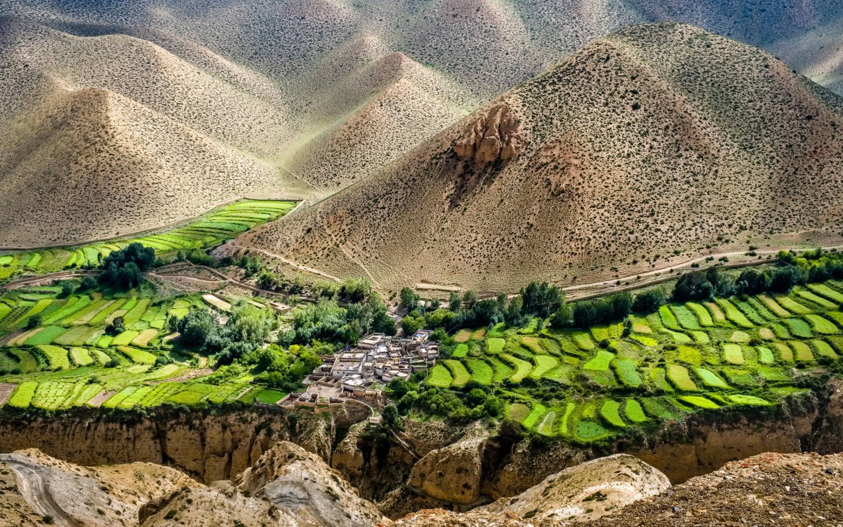 A village located between green terrace fields in the barren landscape of Upper Mustang.