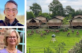 ”Glamping ligger helt rätt i tiden”