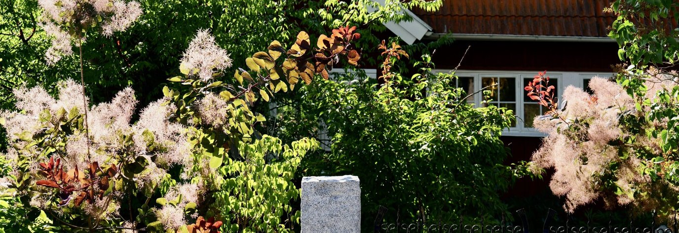 trädgårdsservice Dannebacken trädgårdsskötsel