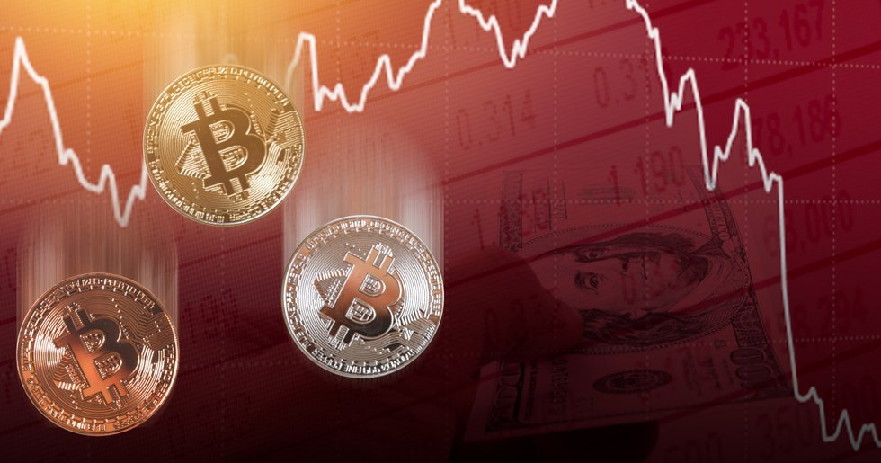 Analytiker: Om stödnivån inte håller kan bitcoinpriset falla till 7 400 dollar.