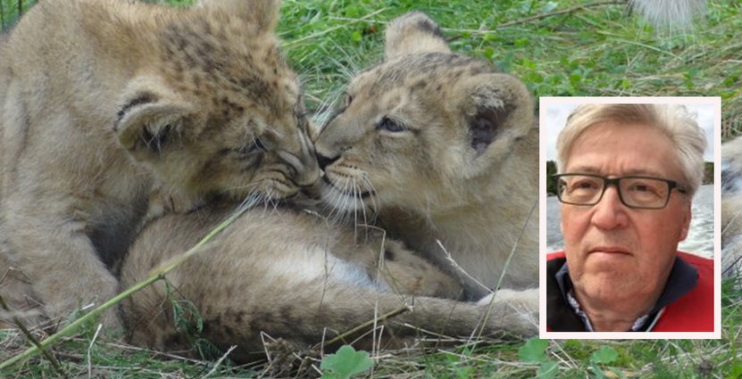 Nya ägaren Henry Selenius vill få upp värdet på Parken Zoo i Eskilstuna. 