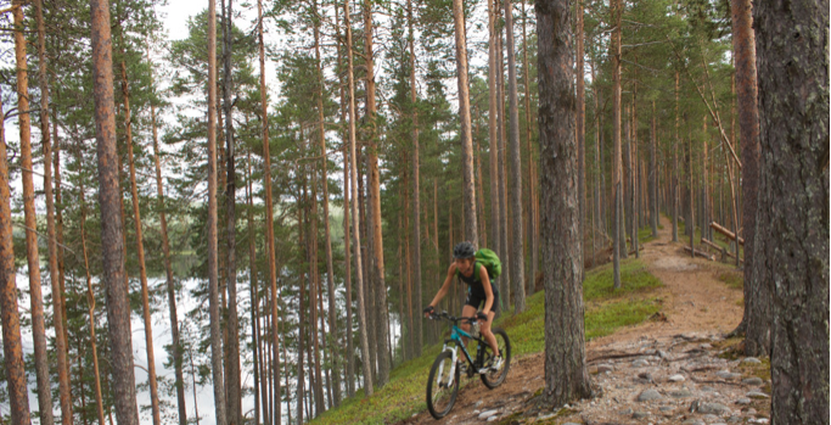 Mellan åren 2015 till 2018 har Umeåregionen drivit Projekt Effekt<br />
 för små och medelstora företag inom besöksnäringen. Foto: Visit Umerå