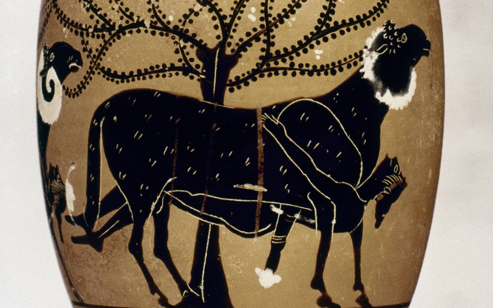 An Attic black-figured lekythos from the 6th century B.C. depicting the escape from Cyclops in the Odyssey.